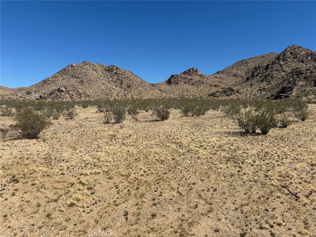 0 Holmes Road Lucerne Valley, CA 92356 - Photo 3 of 8 a view of a dry yard covered with snow in the background