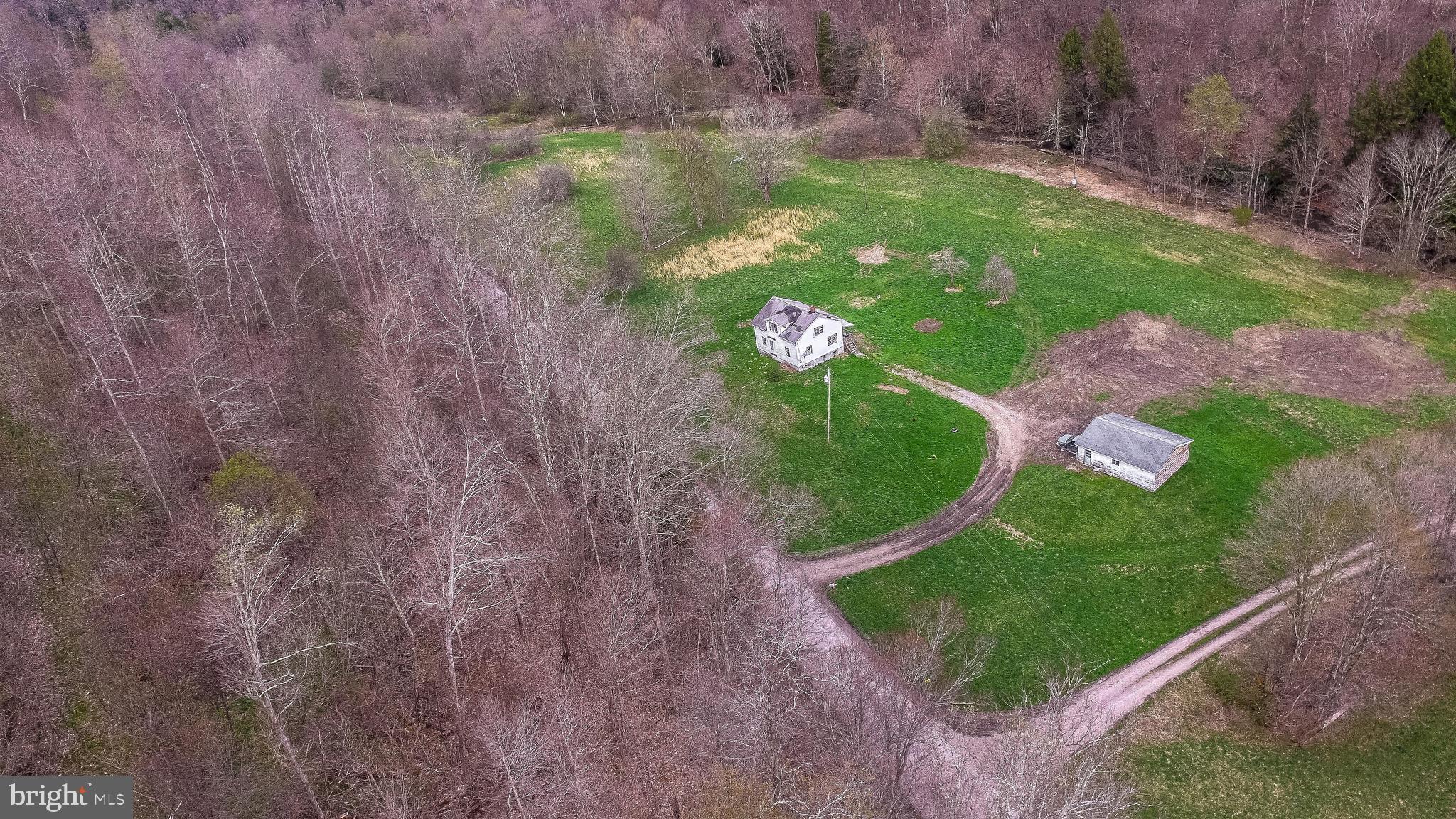 6686 Saltlick Road Terra Alta, WV 26764 - Photo 4 of 12