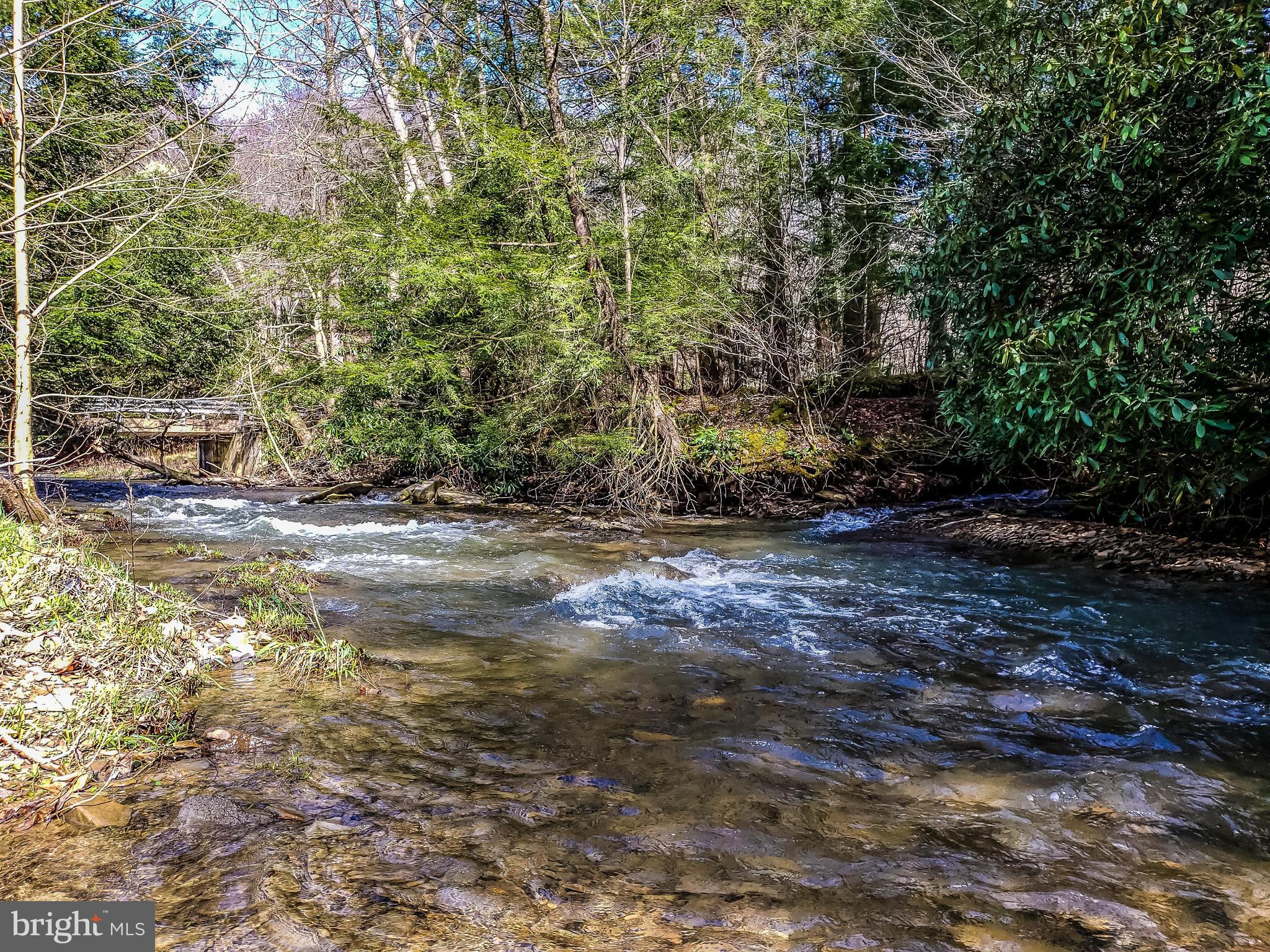6686 Saltlick Road Terra Alta, WV 26764 - Photo 7 of 12