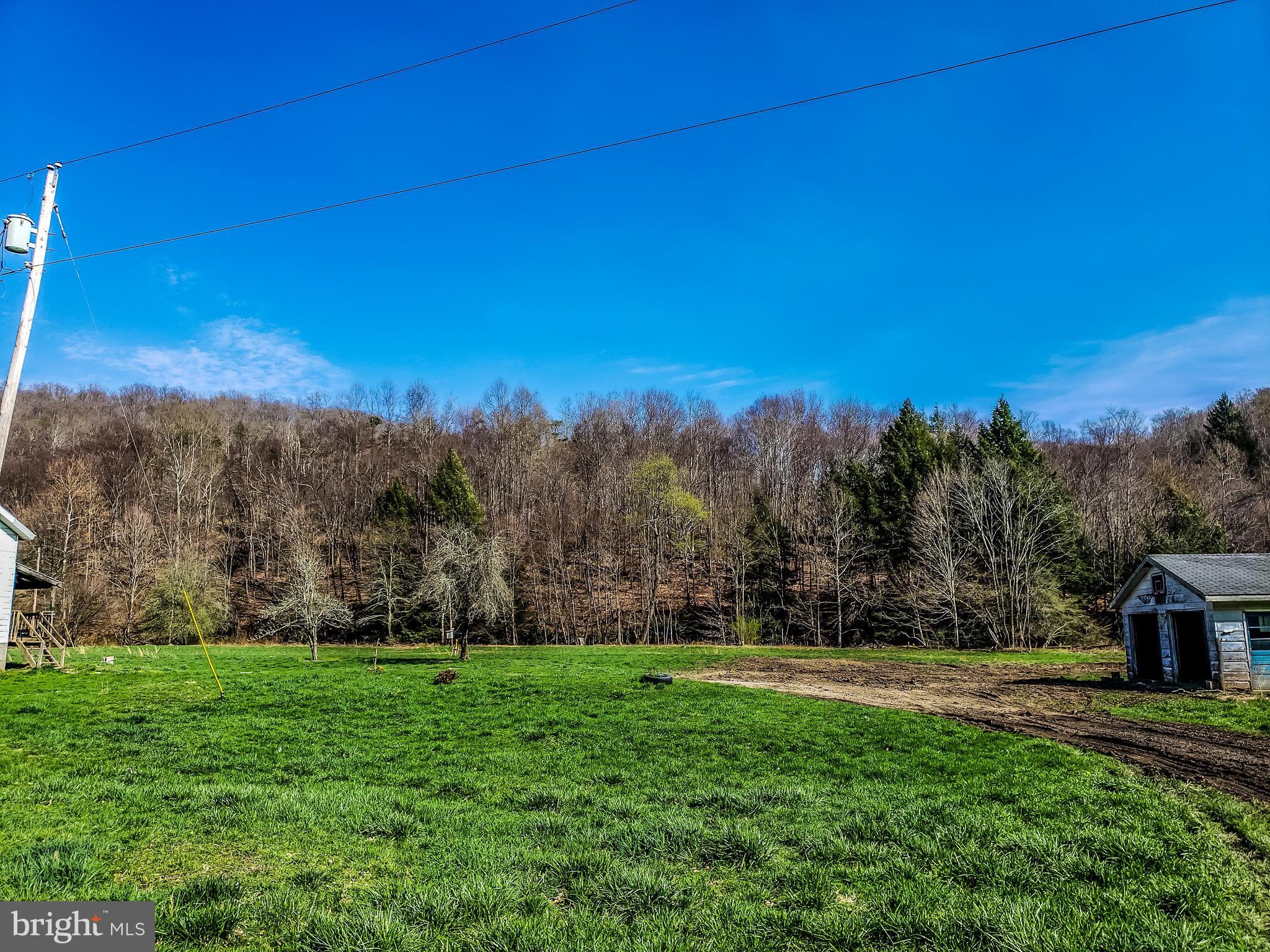 6686 Saltlick Road Terra Alta, WV 26764 - Photo 10 of 12