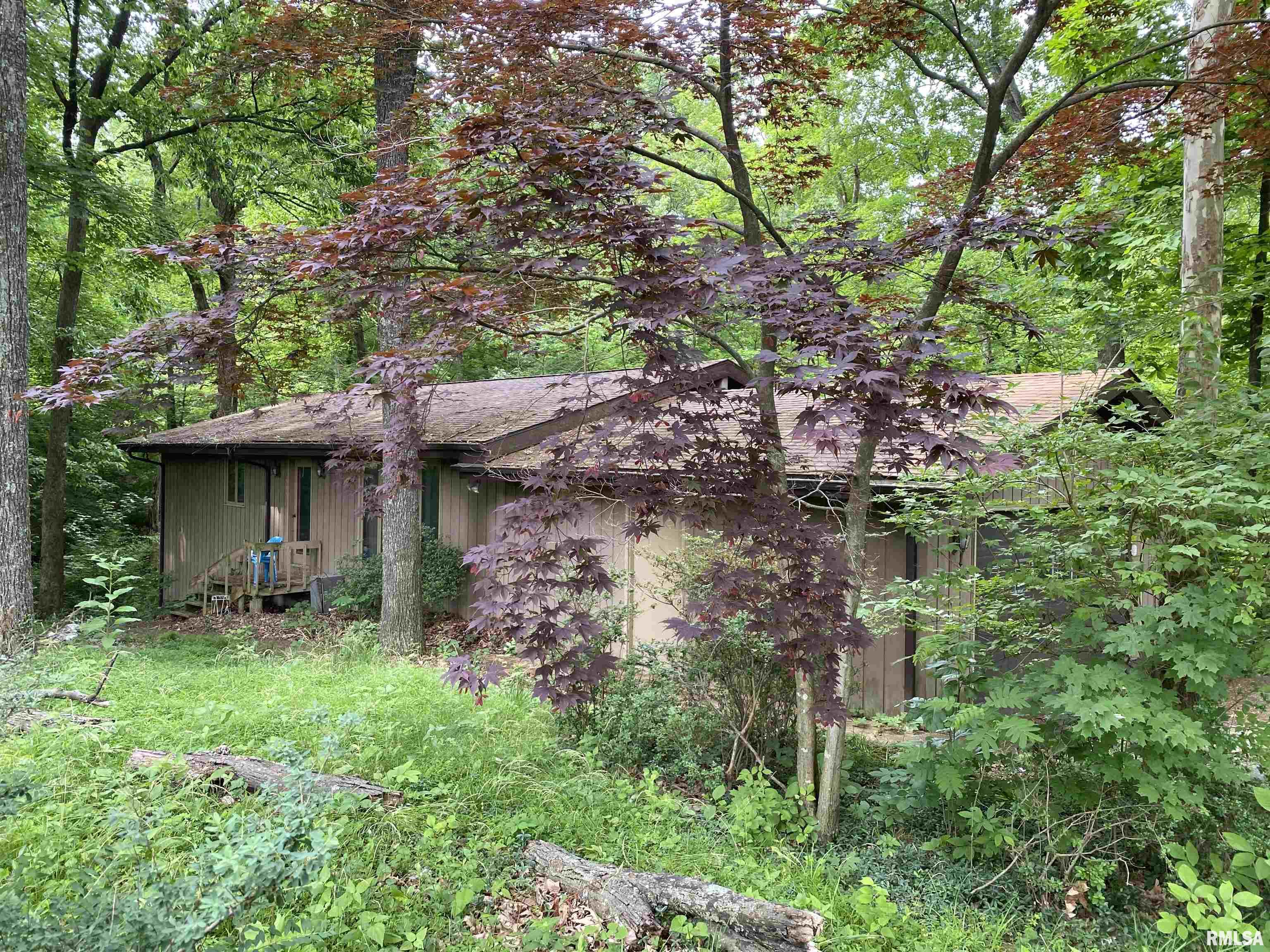 595 Union Hill Road Carbondale, IL 62903 - Photo 1 of 24
