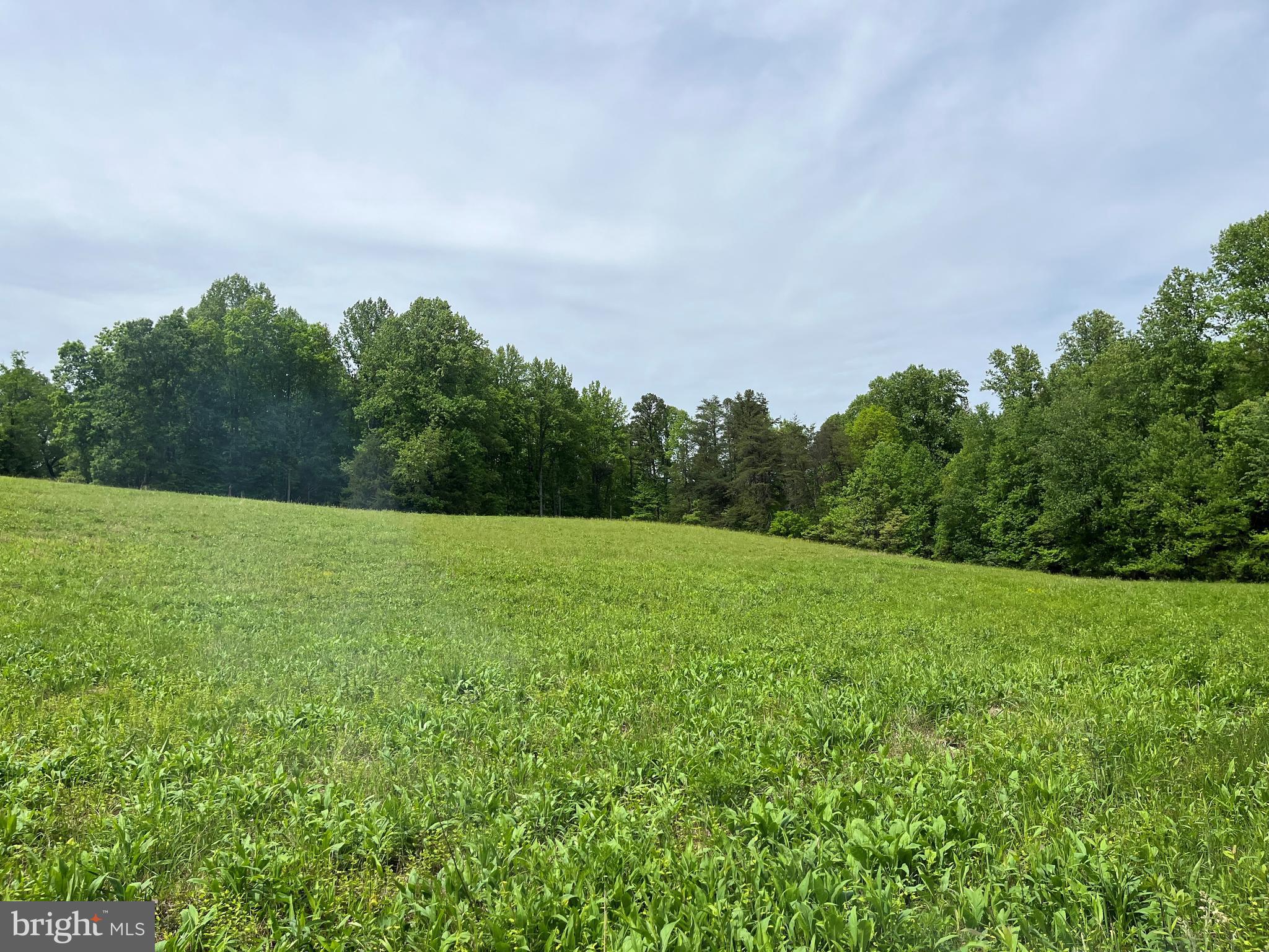 2 Slate Mills Road Boston, VA 22713 - Photo 1 of 14