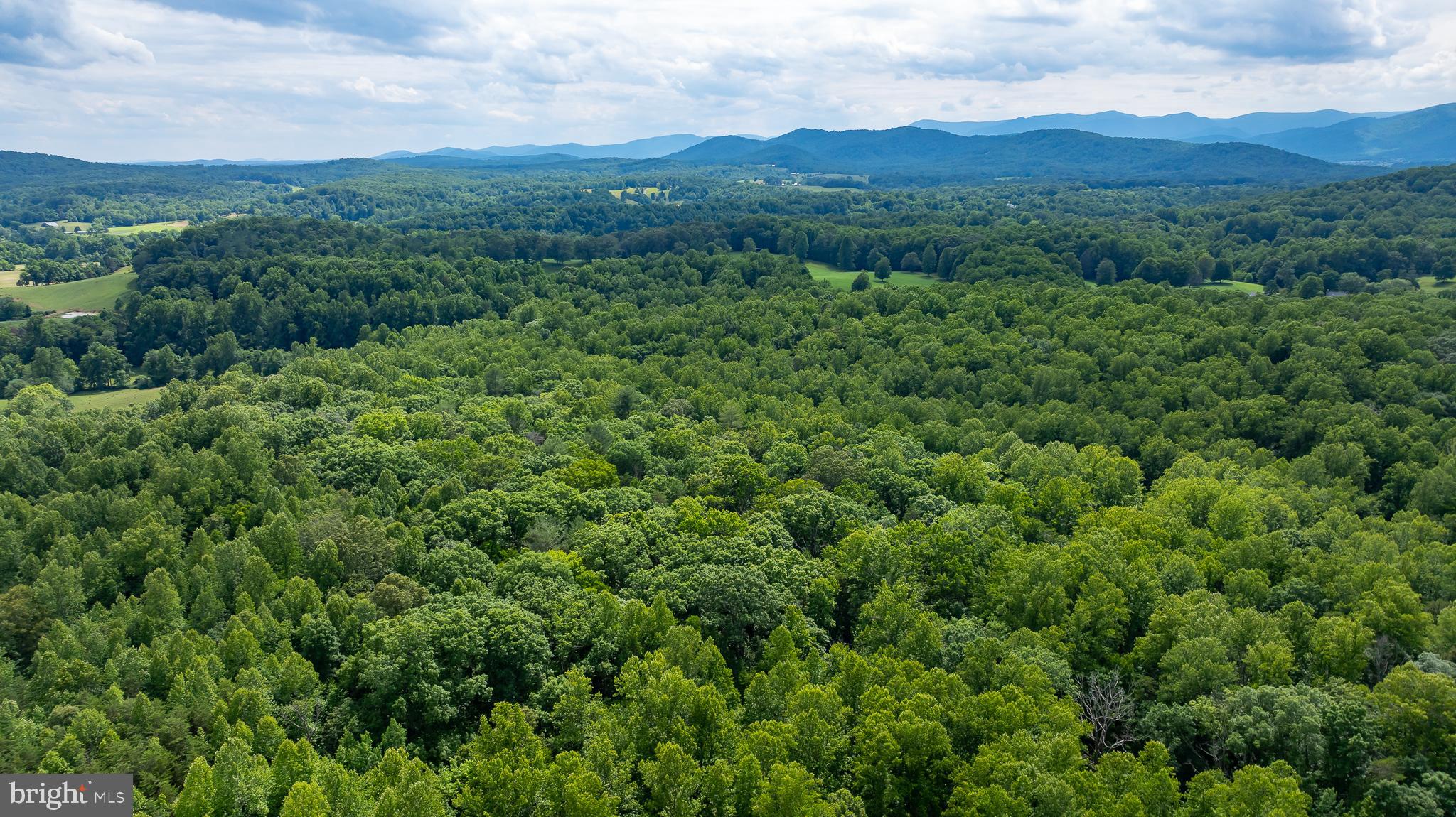 2 Slate Mills Road Boston, VA 22713 - Photo 13 of 14