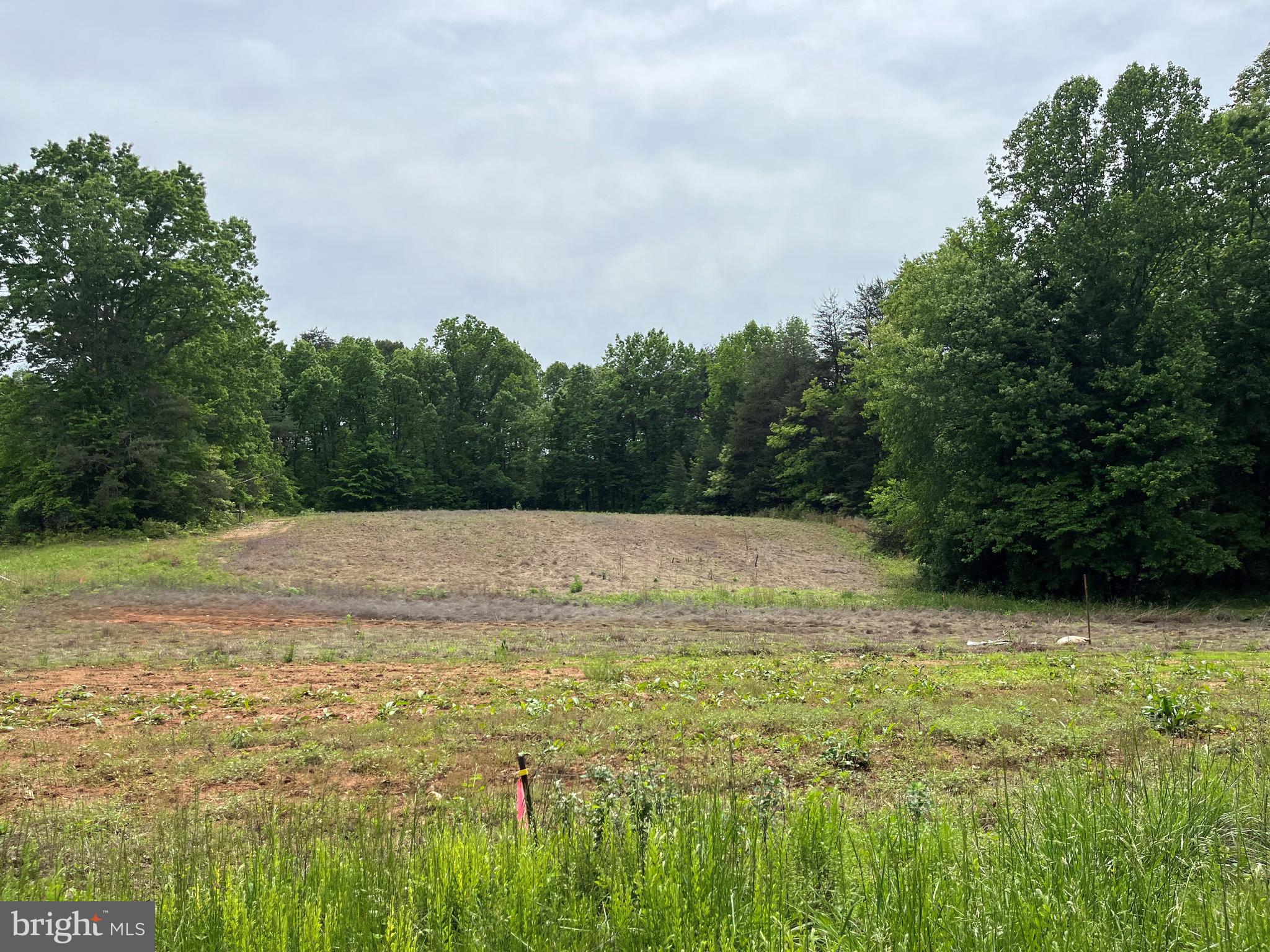 2 Slate Mills Road Boston, VA 22713 - Photo 2 of 14