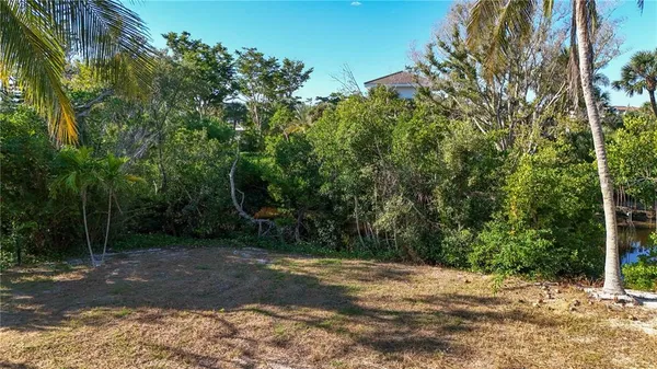 a view of a yard with plants and trees