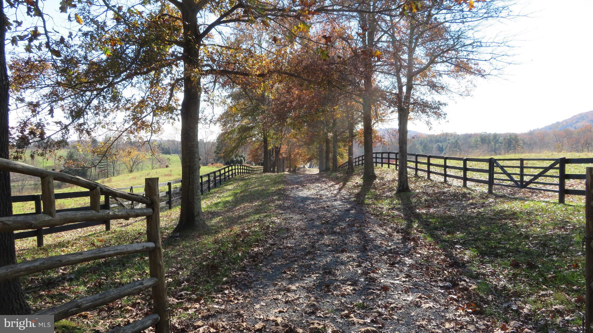 62 Hope Hill Road Castleton, VA 22716 - Photo 1 of 80 farm entrance drive