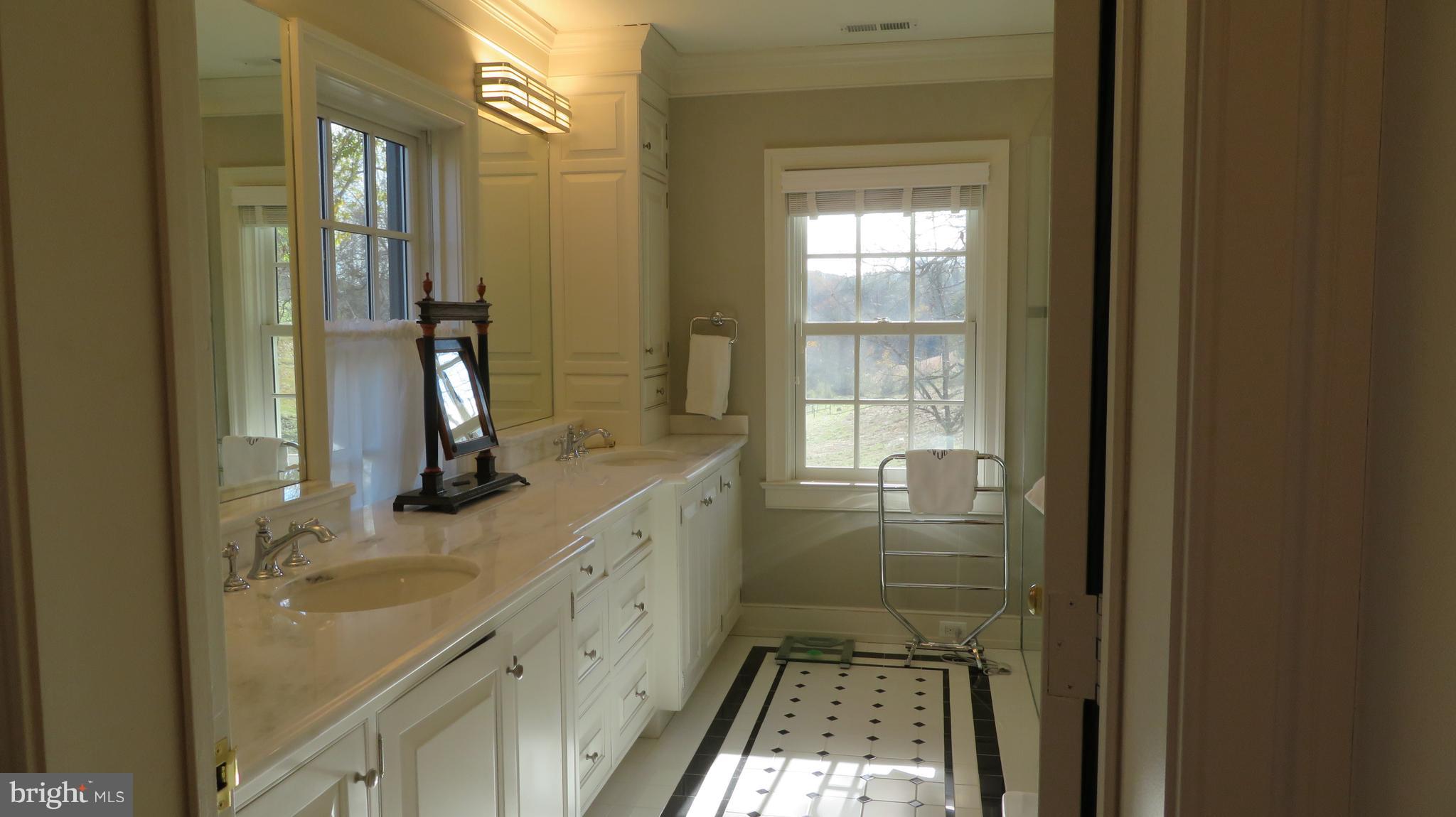 62 Hope Hill Road Castleton, VA 22716 - Photo 40 of 80 Master Bath