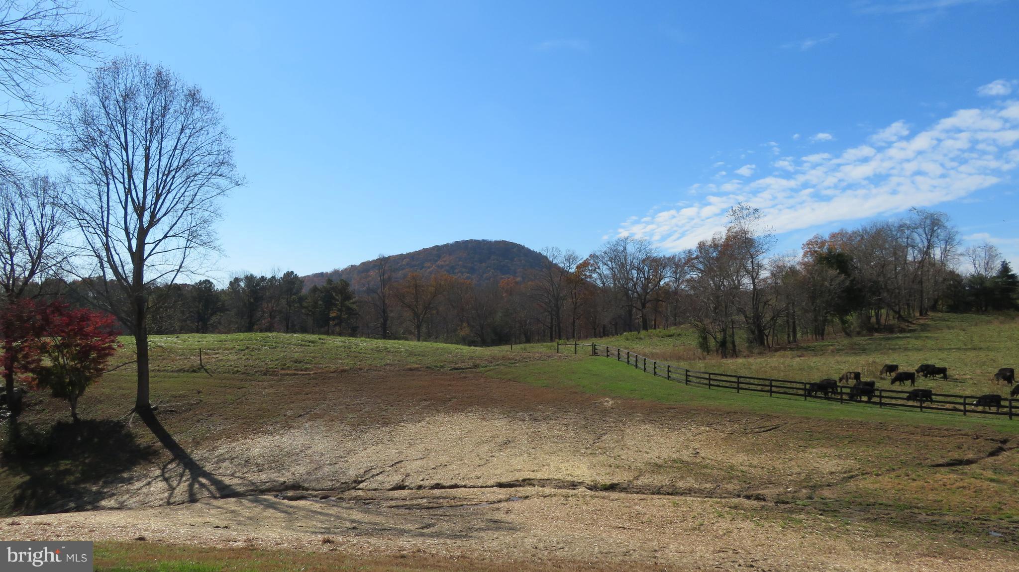 62 Hope Hill Road Castleton, VA 22716 - Photo 6 of 80 Mountain views