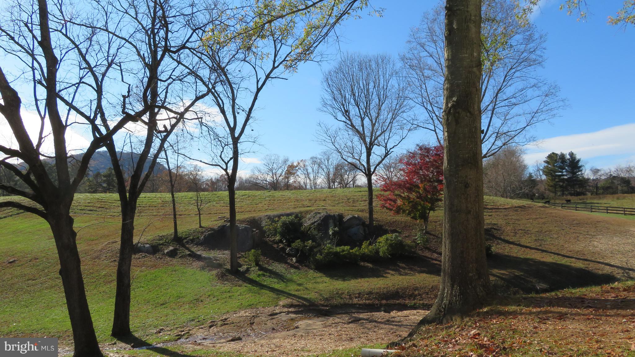 62 Hope Hill Road Castleton, VA 22716 - Photo 54 of 80 Spring
