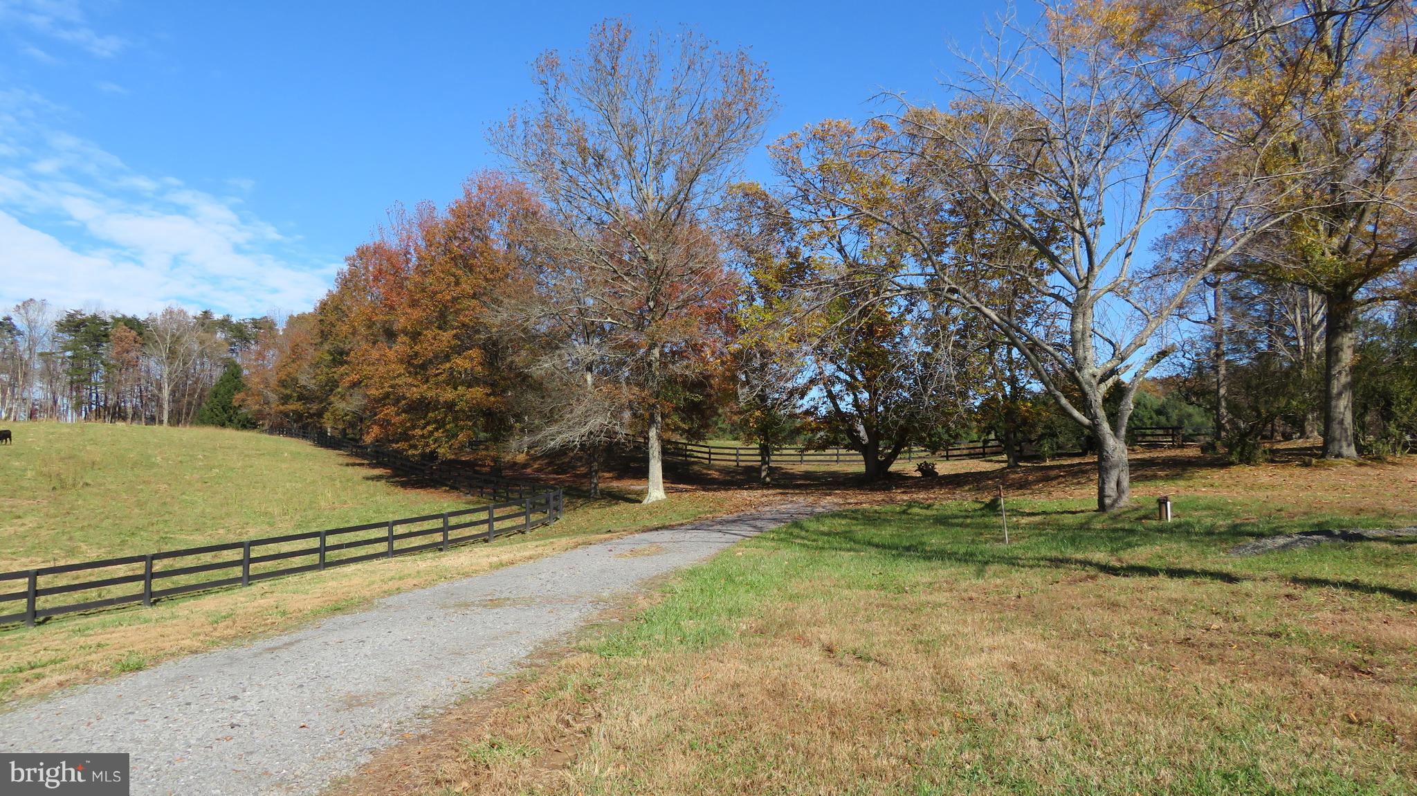 62 Hope Hill Road Castleton, VA 22716 - Photo 7 of 80 a view of a park with large trees
