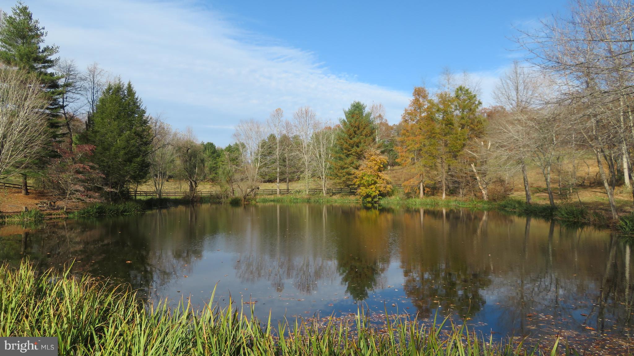 62 Hope Hill Road Castleton, VA 22716 - Photo 64 of 80 Pond view
