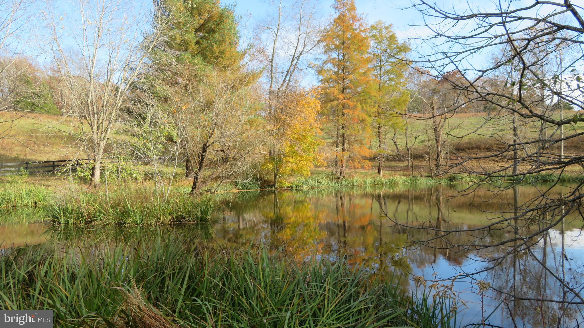 62 Hope Hill Road Castleton, VA 22716 - Photo 70 of 80 Pond