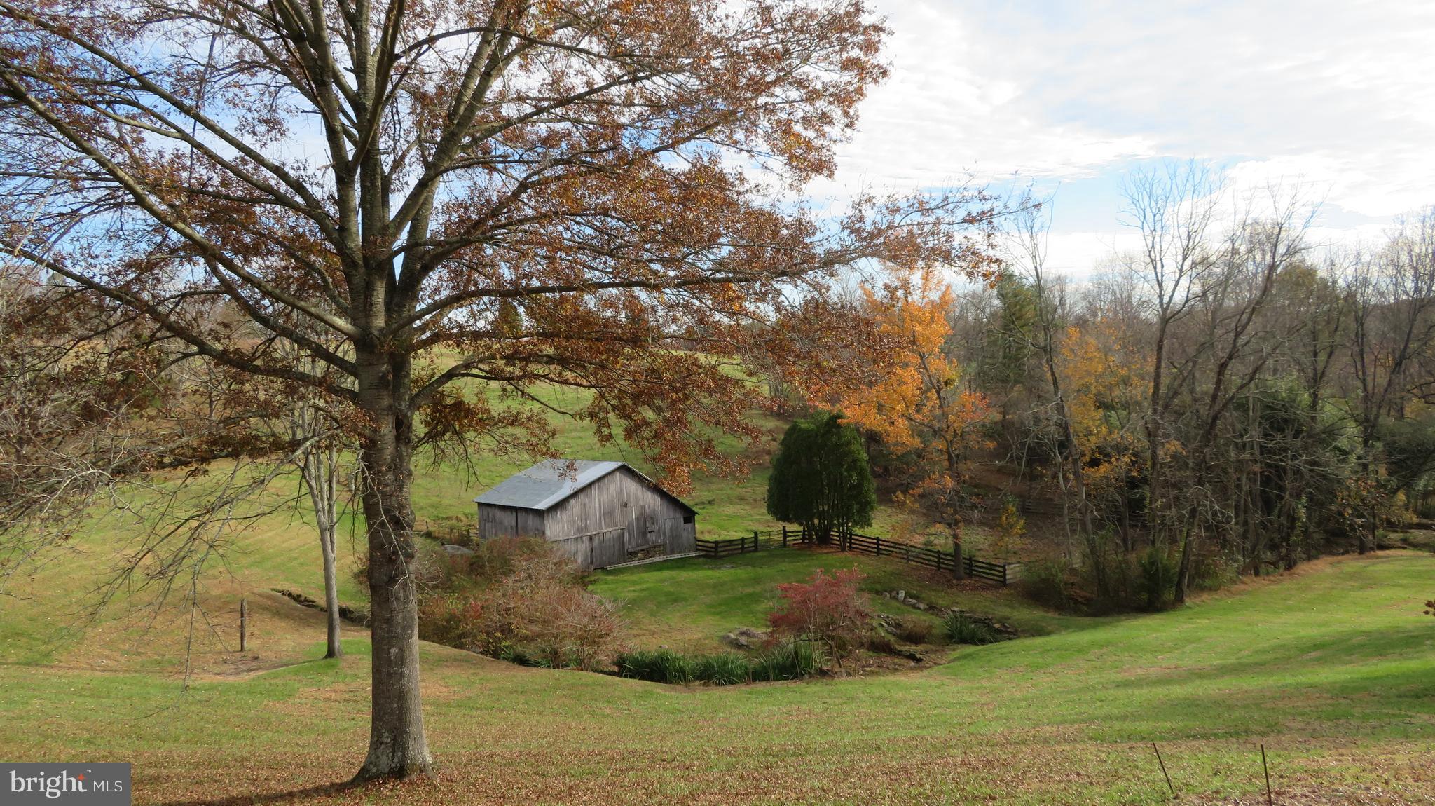 62 Hope Hill Road Castleton, VA 22716 - Photo 73 of 80 a view of a yard with large trees