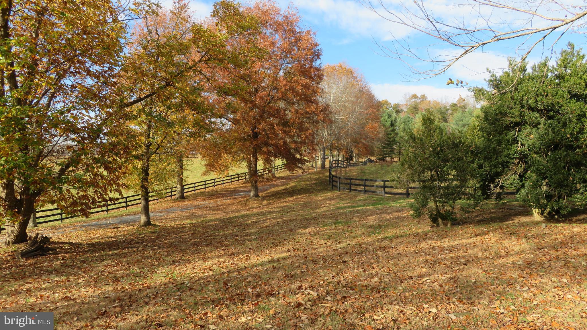62 Hope Hill Road Castleton, VA 22716 - Photo 76 of 80 Farm lane