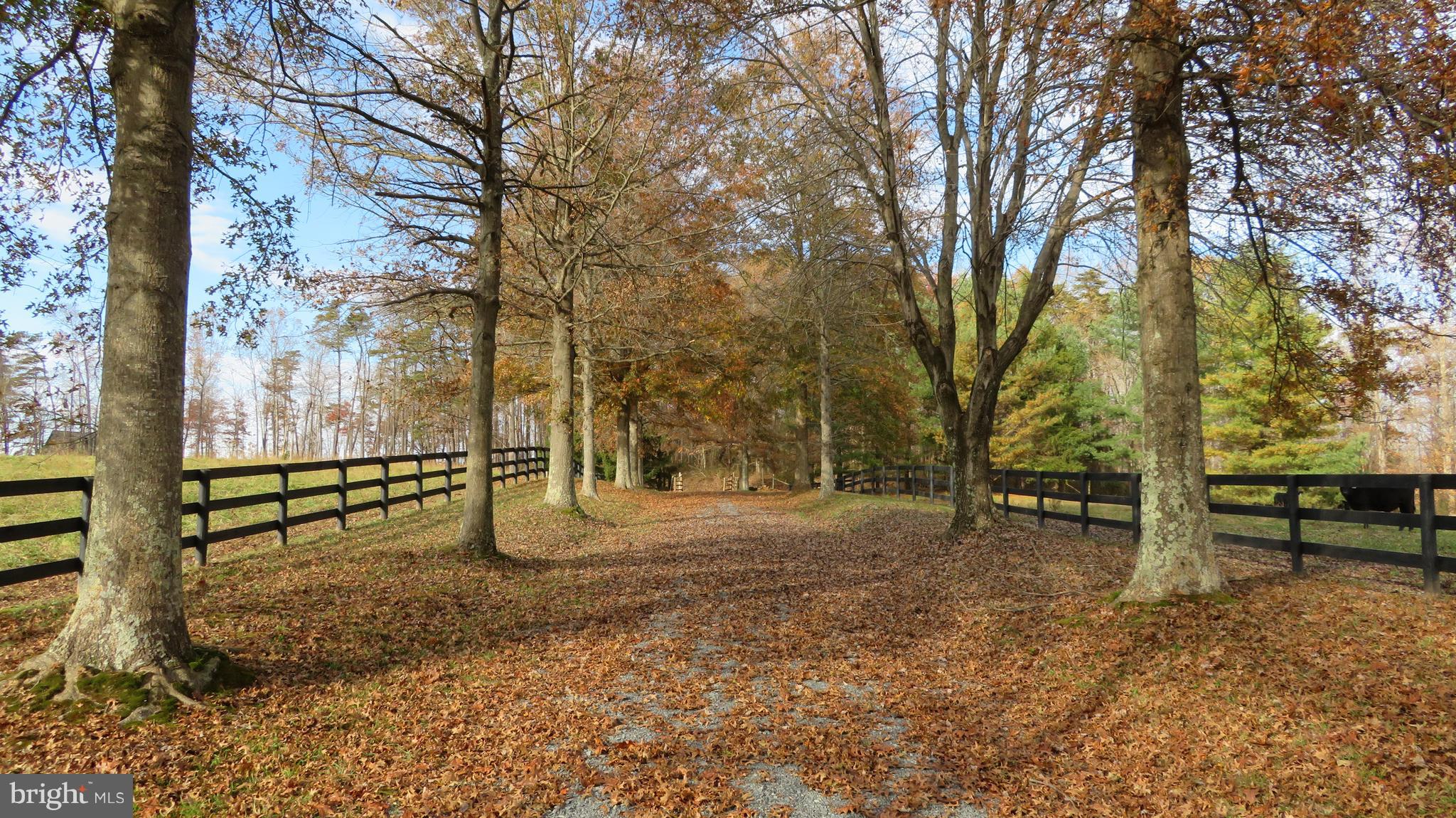62 Hope Hill Road Castleton, VA 22716 - Photo 77 of 80 a view of outdoor space with seating
