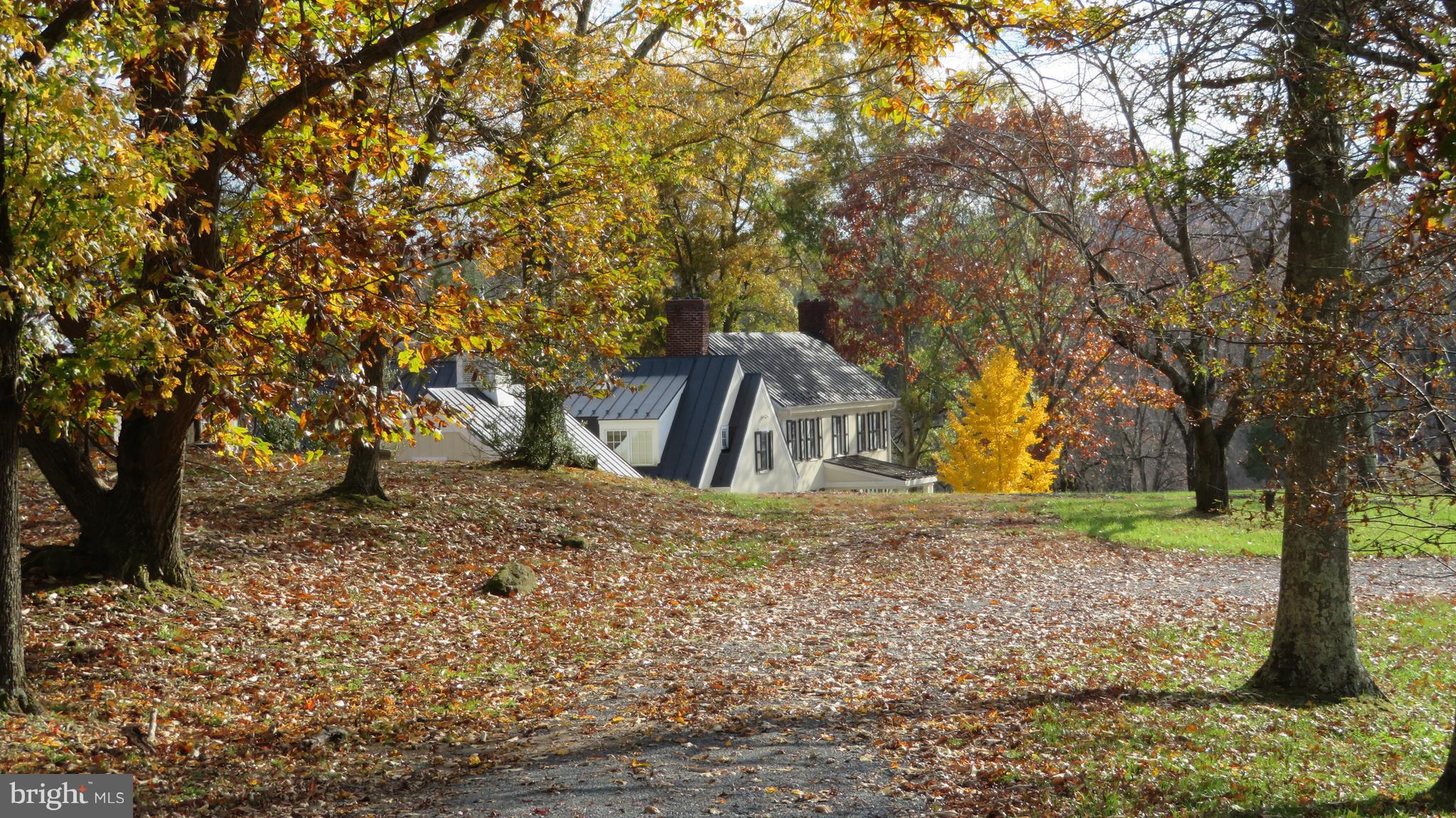 62 Hope Hill Road Castleton, VA 22716 - Photo 80 of 80 a view of a yard with large trees
