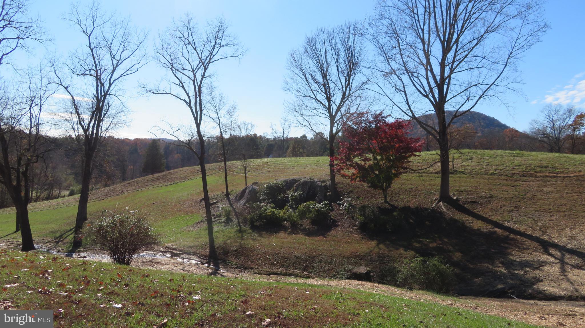 62 Hope Hill Road Castleton, VA 22716 - Photo 10 of 80 a view of a park
