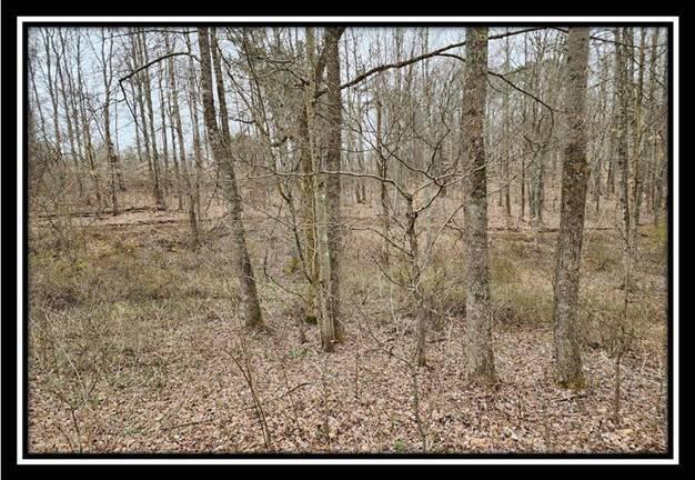 0 Metheny Fairplay Road, Unit TRACT 4) Vinton, OH 45686 - Photo 22 of 44 image022