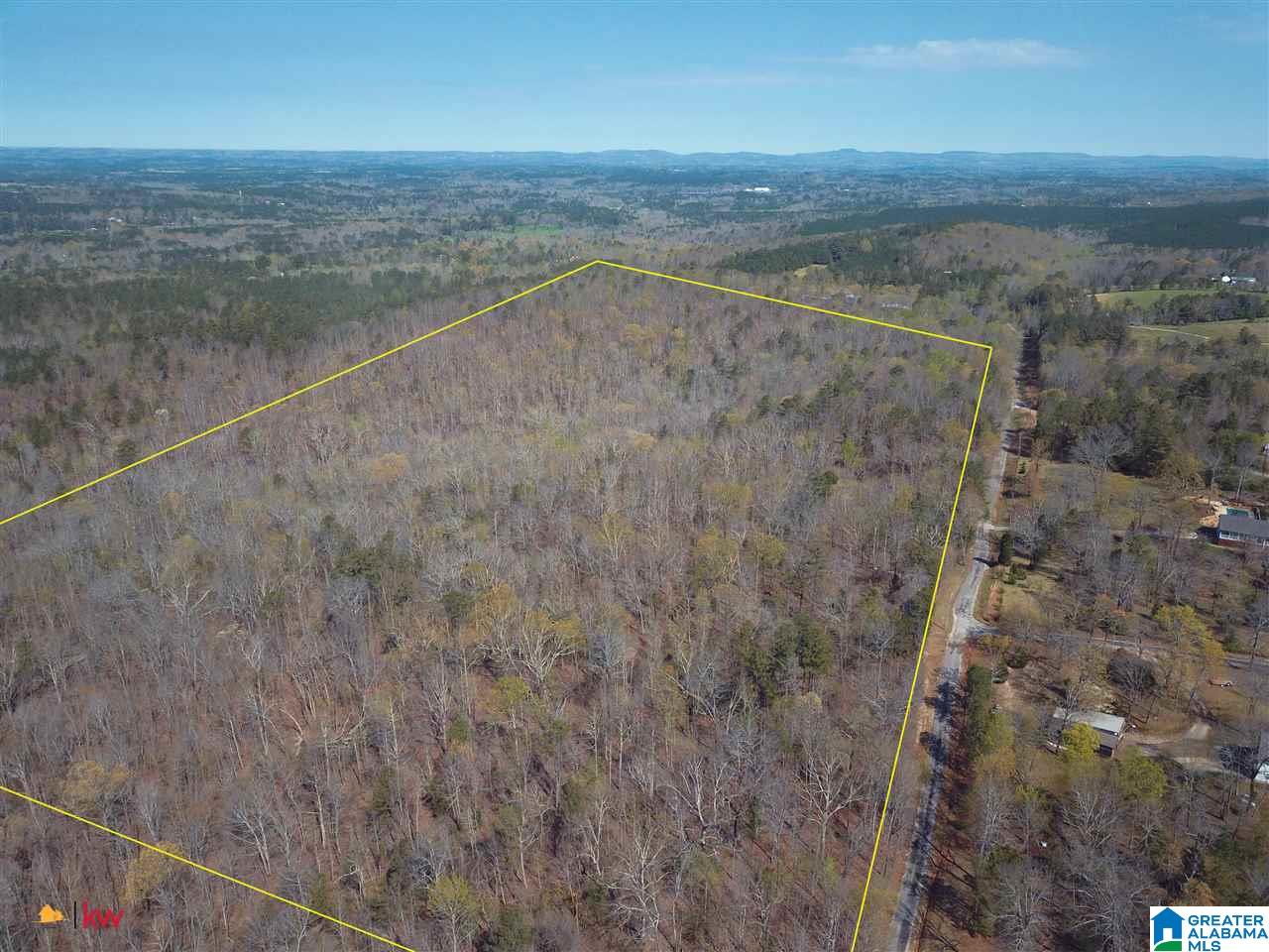 0 Powell Road Remlap, AL 35133 - Photo 2 of 19