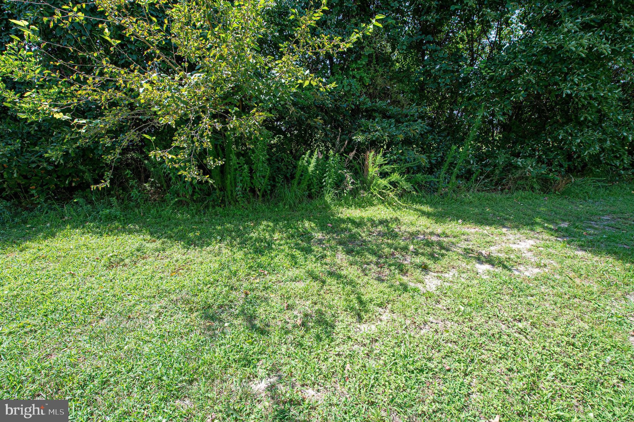 420 Parkview Court, Unit F Salisbury, MD 21804 - Photo 38 of 87 a view of a lush green space