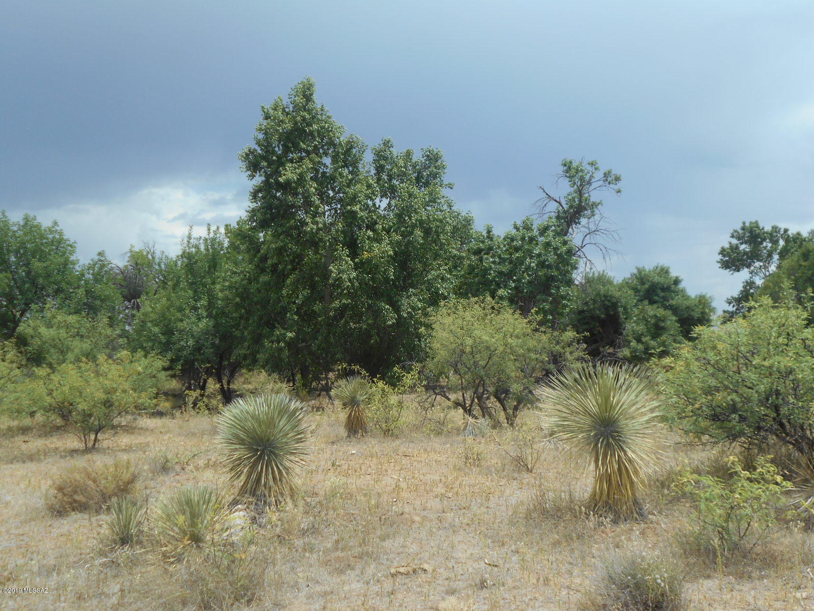 East Walnut Trail Pearce, AZ 85625 - Photo 16 of 47