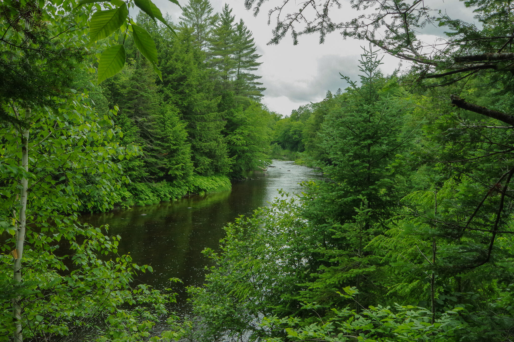58 River Road Abbot, ME 04406 - Photo 89 of 114 IMGP0574