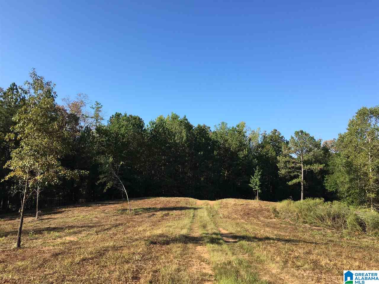 220 Gant Road, Unit 106 AC Pell City, AL 35128 - Photo 1 of 23