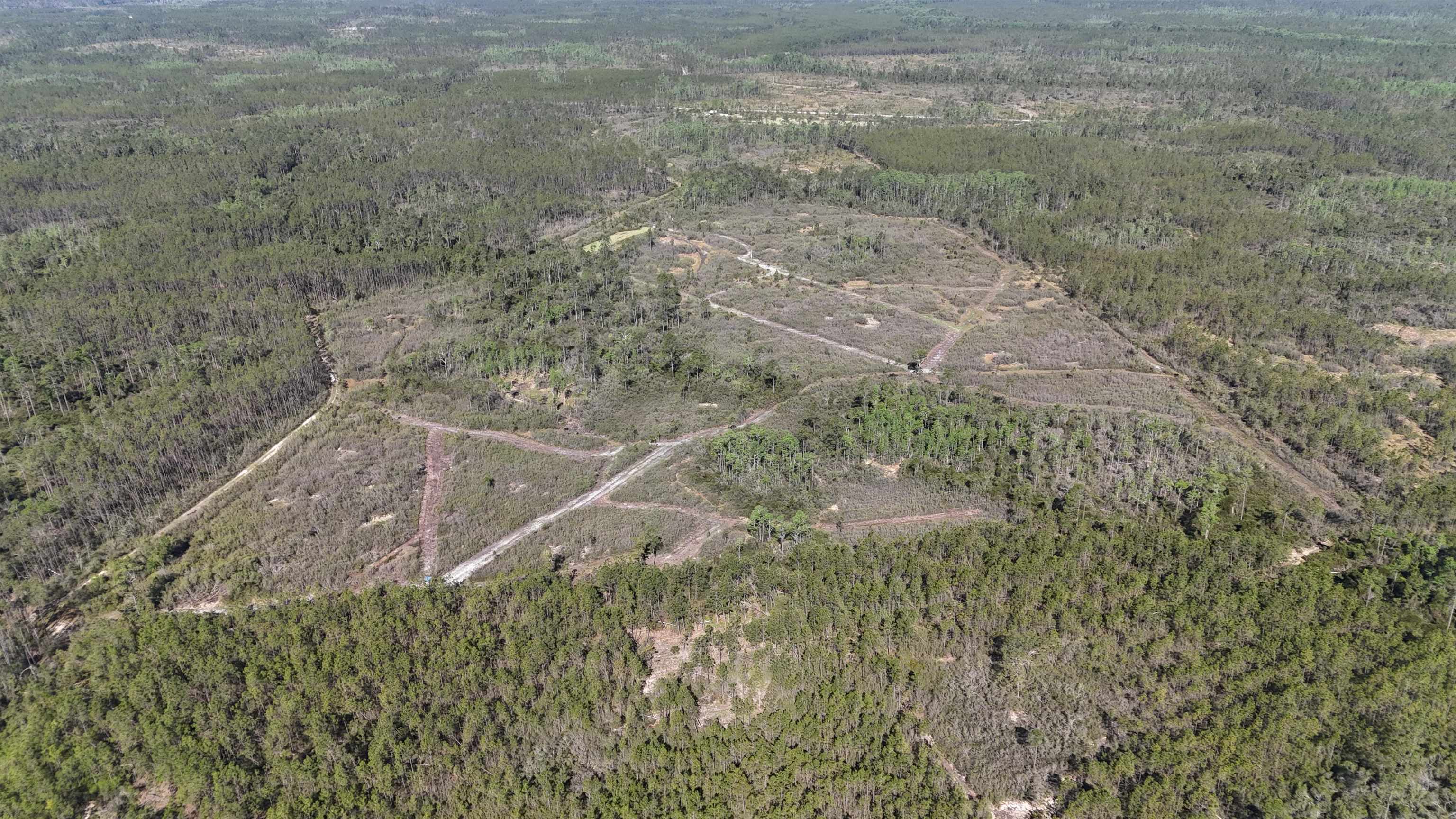 0 Madison Main Line Road Perry, FL 32347 - Photo 19 of 50