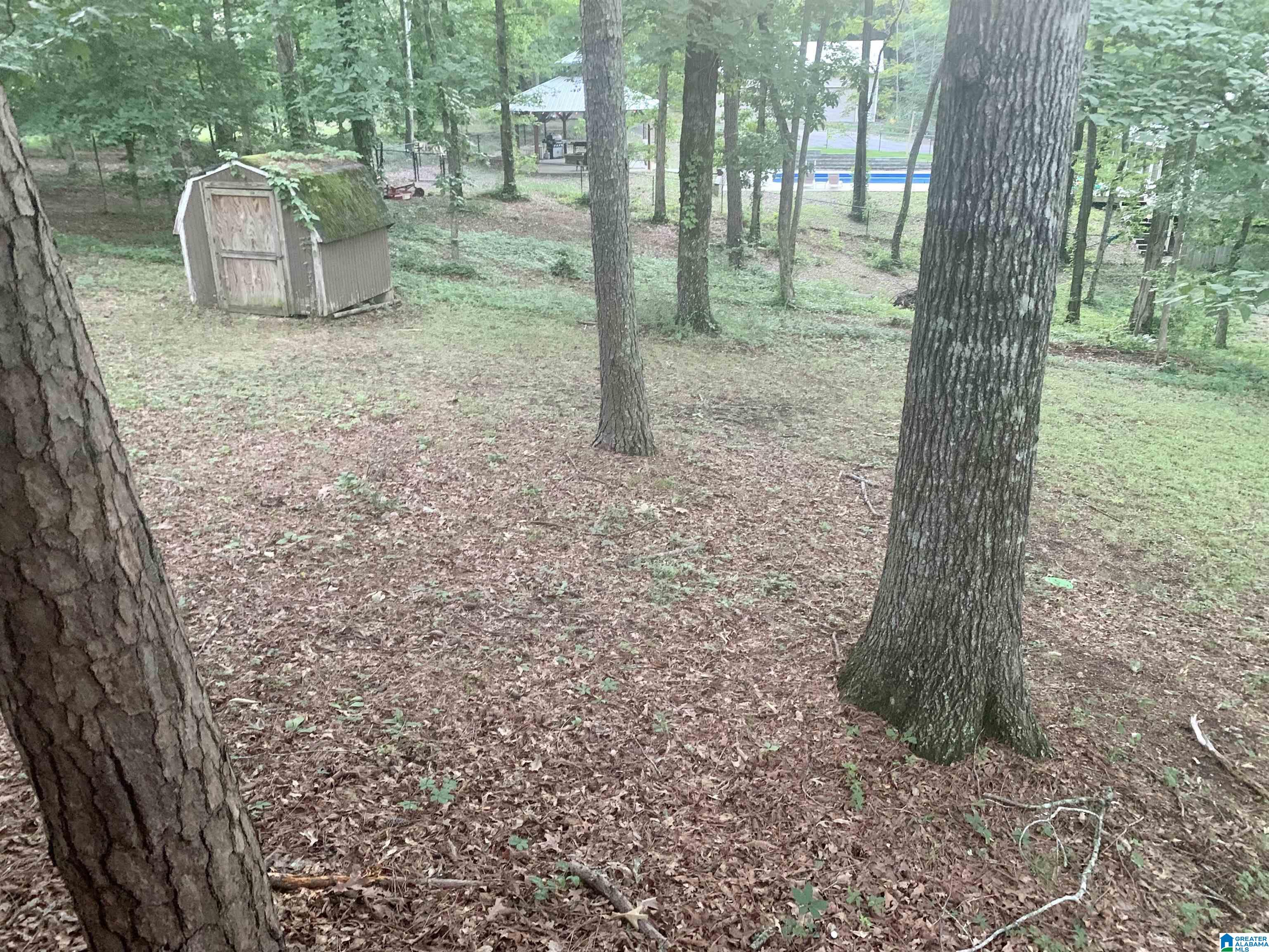 909 Robinson Street Springville, AL 35146 - Photo 15 of 16
