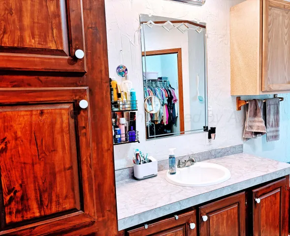 a bathroom with a shower and a sink