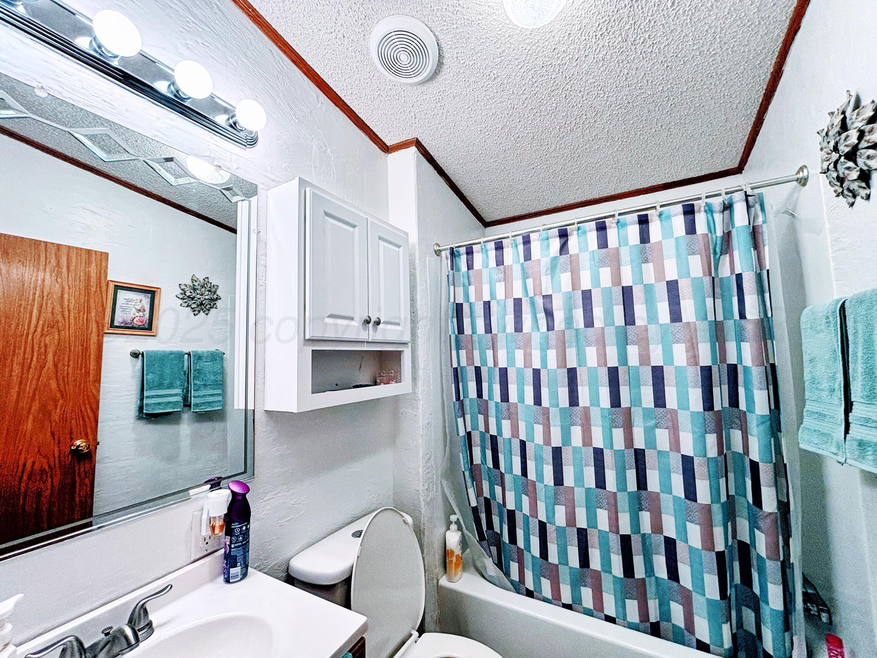 1010 South Baylor Street Perryton, TX 79070 - Photo 26 of 35 a bathroom with a sink a toilet a mirror and shower curtain