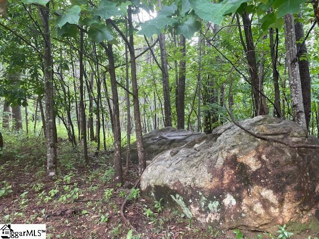 0 Cherry Hill St Mill Spring Mill Spring, NC 28756 - Photo 2 of 9