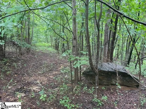 $275,000 | 0 Cherry Hill St Mill Spring, Mill Spring, NC 28756