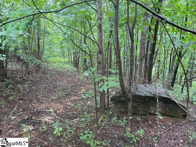 0 Cherry Hill St Mill Spring Mill Spring, NC 28756 - Photo 3 of 9