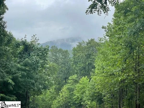 $275,000 | 0 Cherry Hill St Mill Spring, Mill Spring, NC 28756