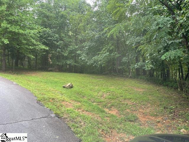 0 Cherry Hill St Mill Spring Mill Spring, NC 28756 - Photo 5 of 9