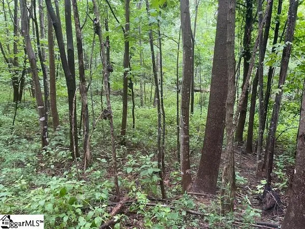 $275,000 | 0 Cherry Hill St Mill Spring, Mill Spring, NC 28756