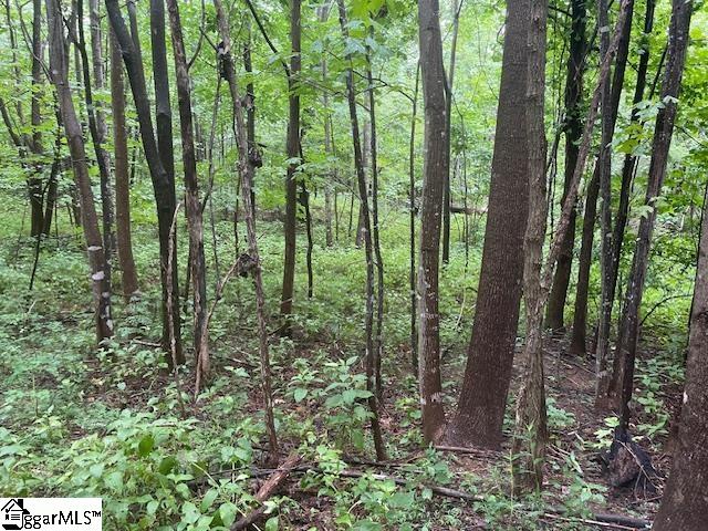 0 Cherry Hill St Mill Spring Mill Spring, NC 28756 - Photo 6 of 9