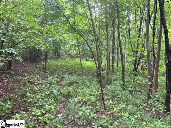 $275,000 | 0 Cherry Hill St Mill Spring, Mill Spring, NC 28756