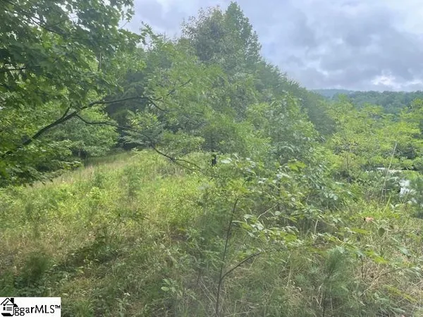 $275,000 | 0 Cherry Hill St Mill Spring, Mill Spring, NC 28756