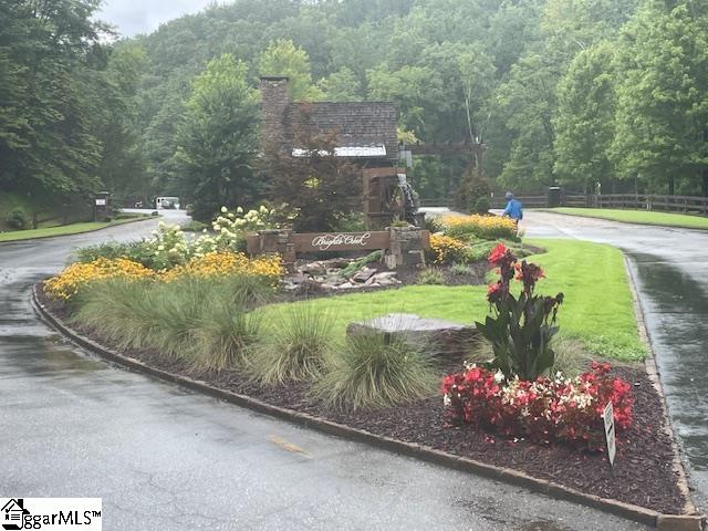 0 Cherry Hill St Mill Spring Mill Spring, NC 28756 - Photo 9 of 9