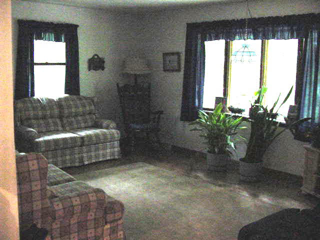 7949 Pomeroy Road Rockton, IL 61072 - Photo 2 of 6 a living room with a couch and a potted plant