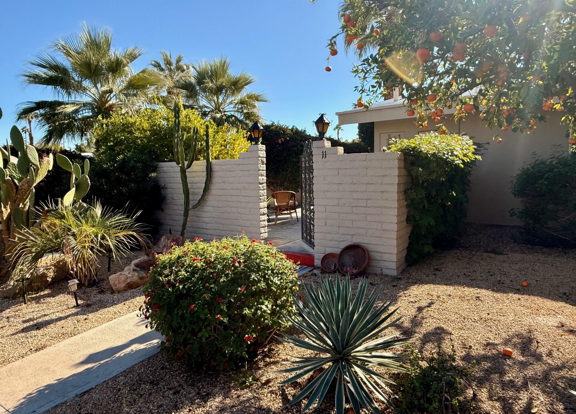 69850 Hwy 111 Rancho Mirage Ca, Unit 11 Rancho Mirage, CA 92270 - Photo 6 of 48 a view of a backyard with plants and large trees