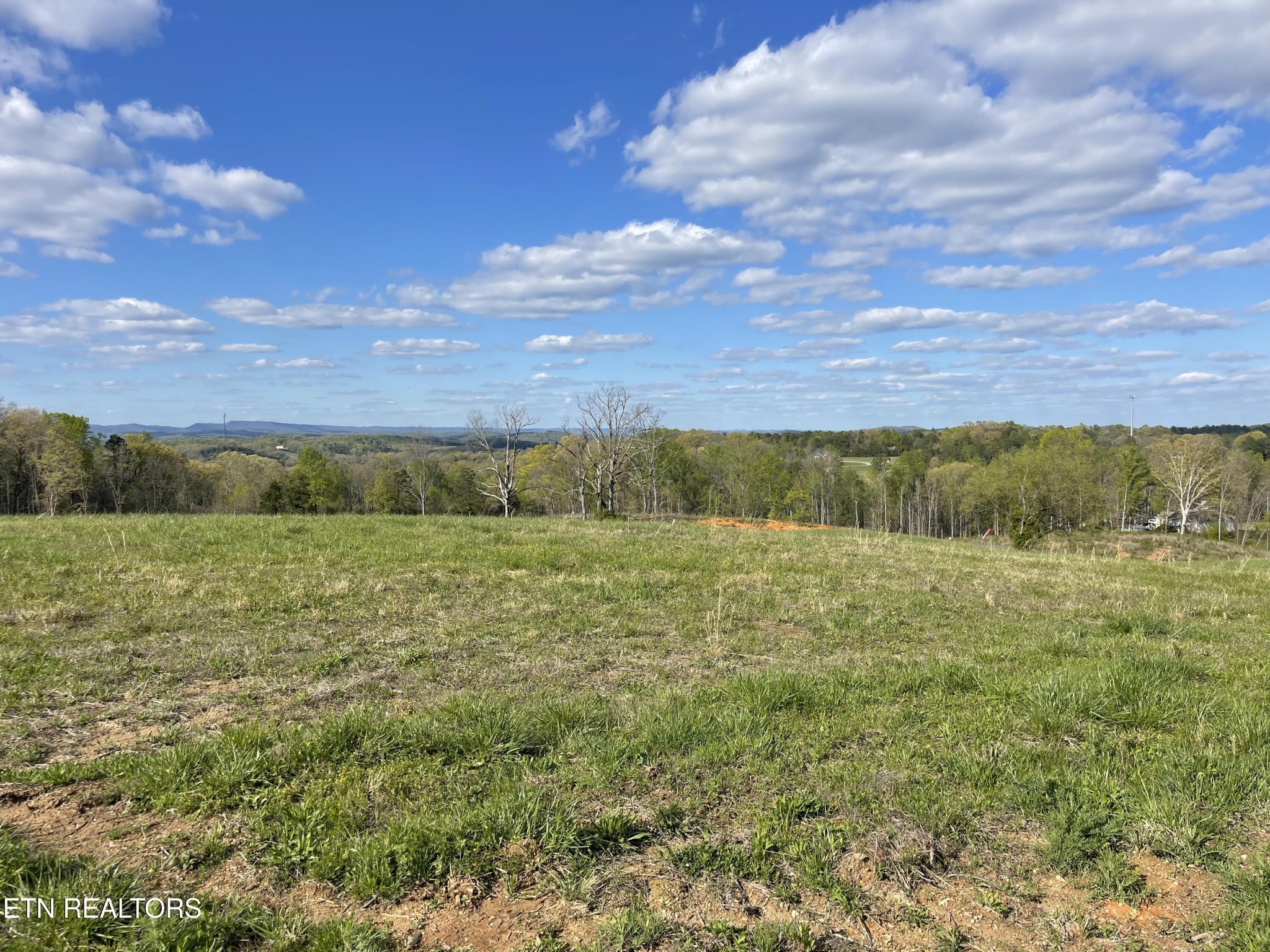 7 Laura Boling Loop Road Strawberry Plains, TN 37871 - Photo 2 of 4 Gallery Image 2