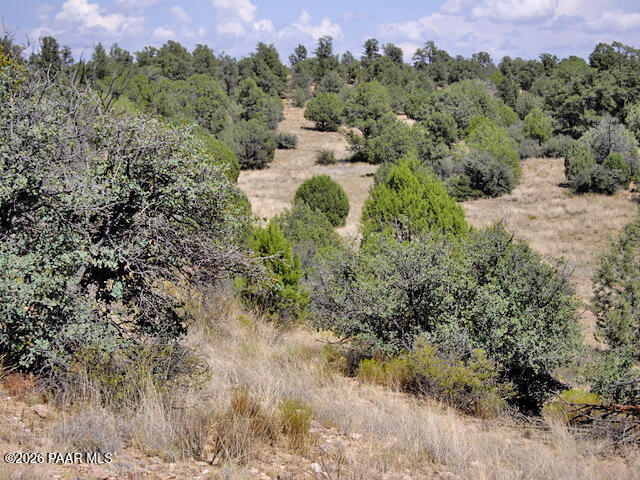 0 West Slate Road Seligman, AZ 86337 - Photo 8 of 15 Davis 2006 Photos 501