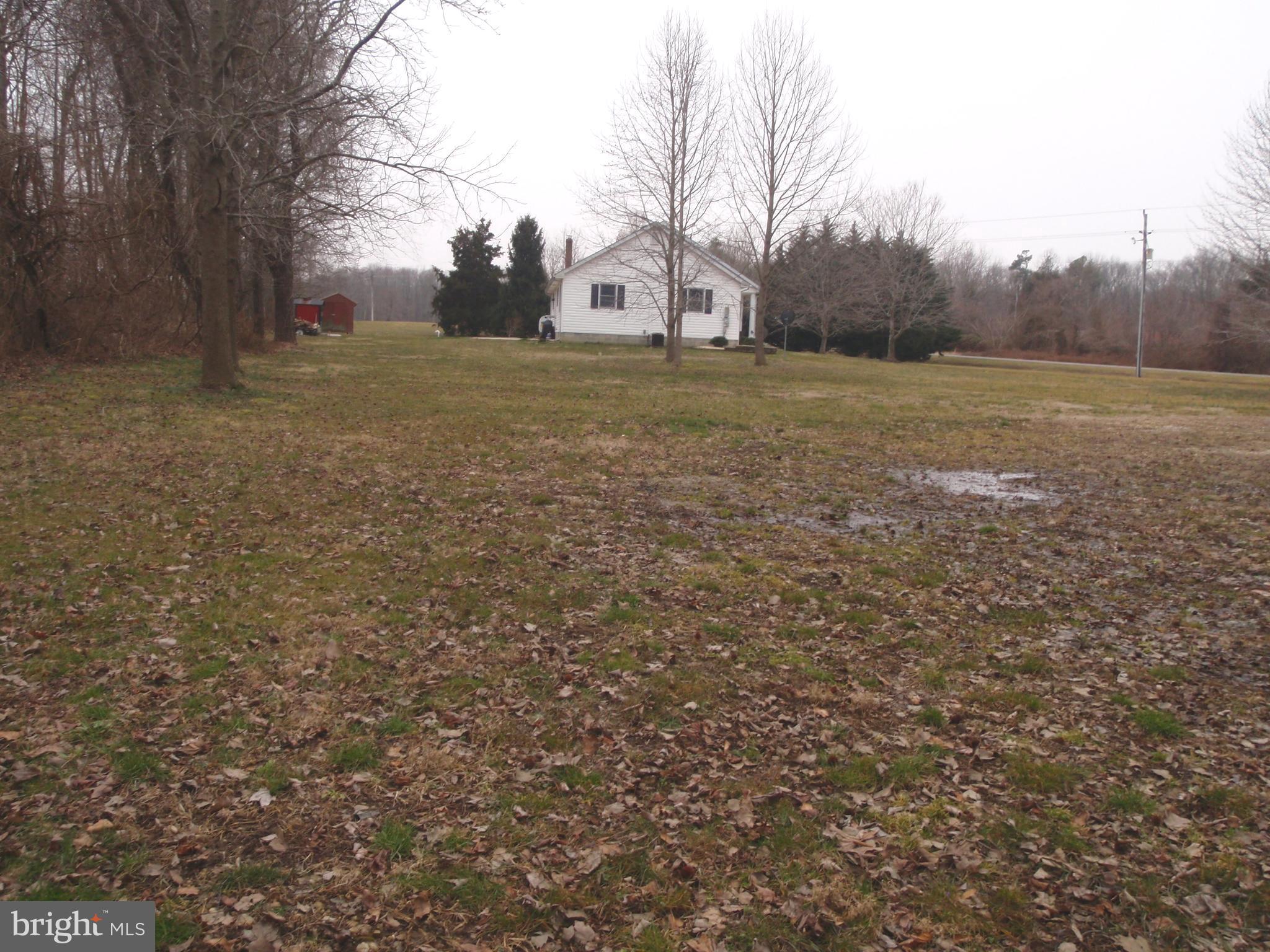 377 Paddock Road Smyrna, DE 19977 - Photo 40 of 58 Side yard