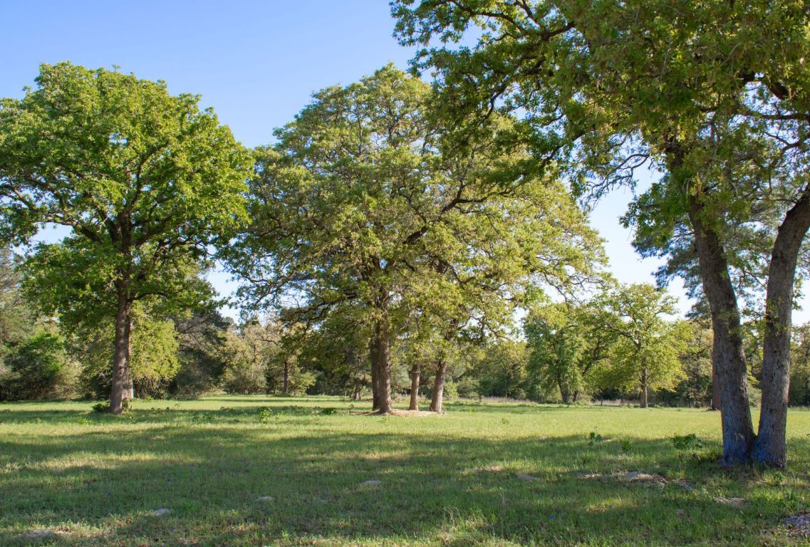 490 John Craft Road Red Rock, TX 78662 - Photo 12 of 40 a grassy field with trees in the background