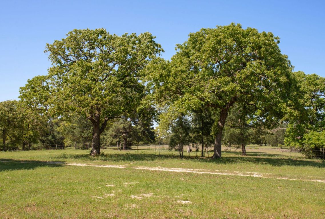 490 John Craft Road Red Rock, TX 78662 - Photo 13 of 40 a view of swimming pool with an outdoor space and seating area