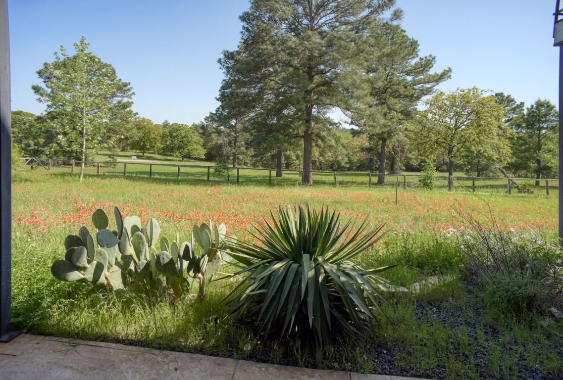 490 John Craft Road Red Rock, TX 78662 - Photo 23 of 40 a view of a lake with a yard