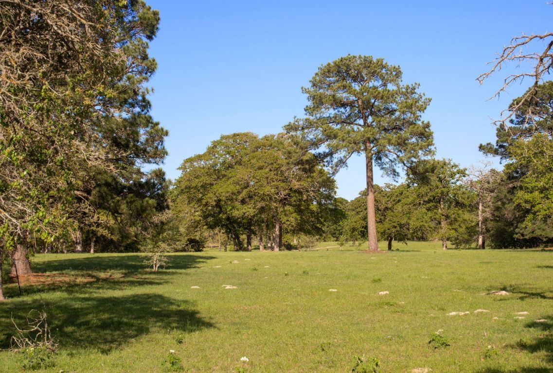 490 John Craft Road Red Rock, TX 78662 - Photo 27 of 40 a view of yard with trees